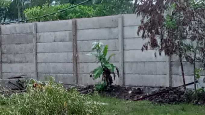 Pagar beton pracetak berdiri lurus di lahan hijau dengan pohon pisang di depannya