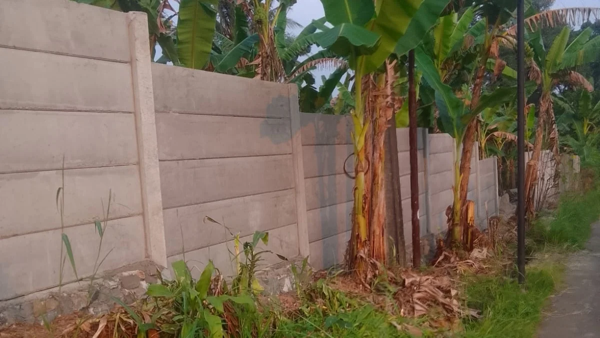 Pagar beton pracetak yang rapi di tepi jalan lingkungan di antara pohon pisang